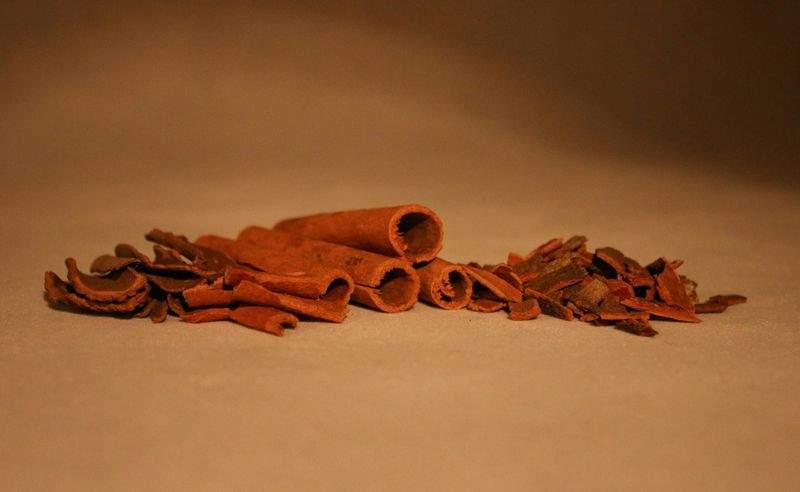 GrünZauber Gartengestaltung - Image 12